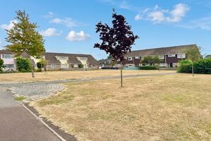 Green Space- click for photo gallery